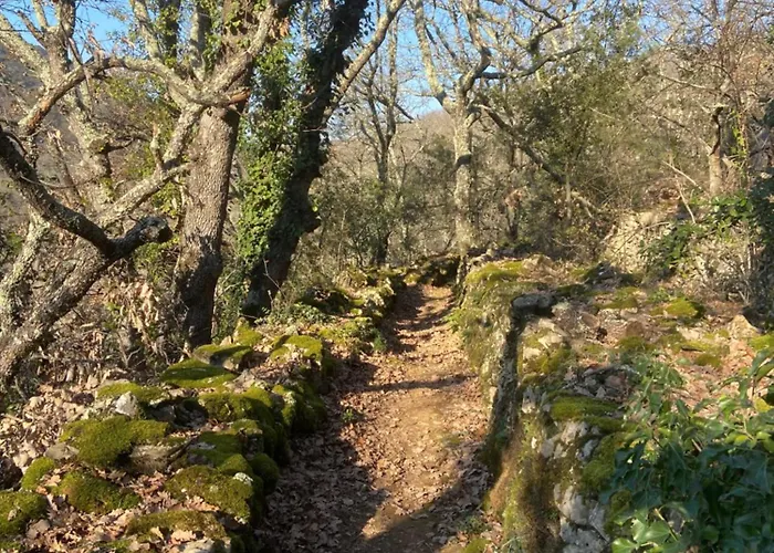 別荘 Les Du Soleil Meyrannes